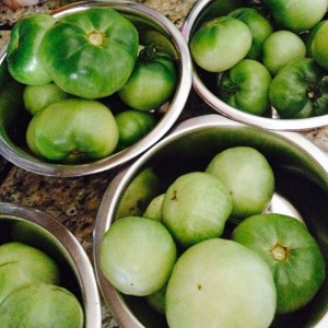 Stainless steel bowls filled with green tomatoes